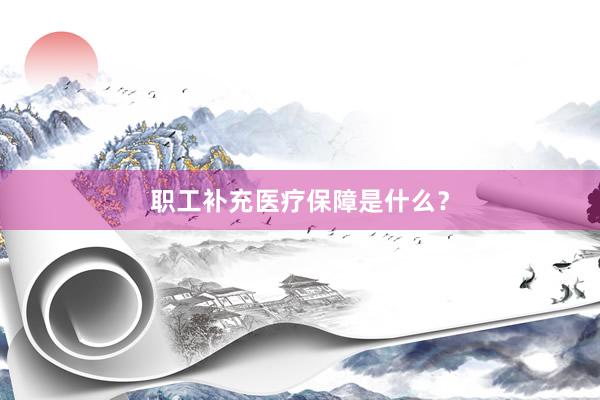 职工补充医疗保障是什么？