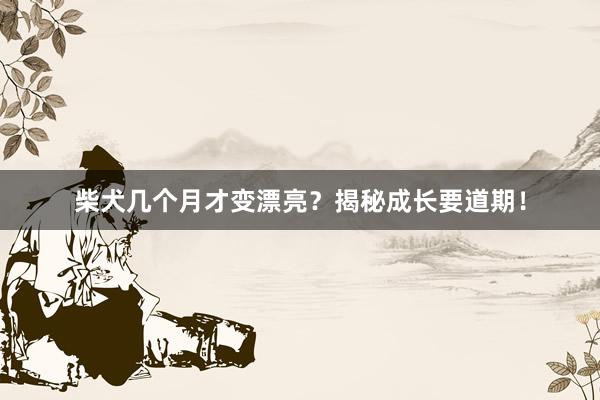 柴犬几个月才变漂亮？揭秘成长要道期！