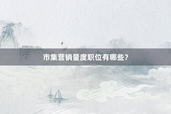 市集营销量度职位有哪些？